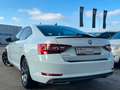 Skoda Superb Lim. *AUTOMATIK*ACC*AHK*MEMORY*PANO* Weiß - thumbnail 6