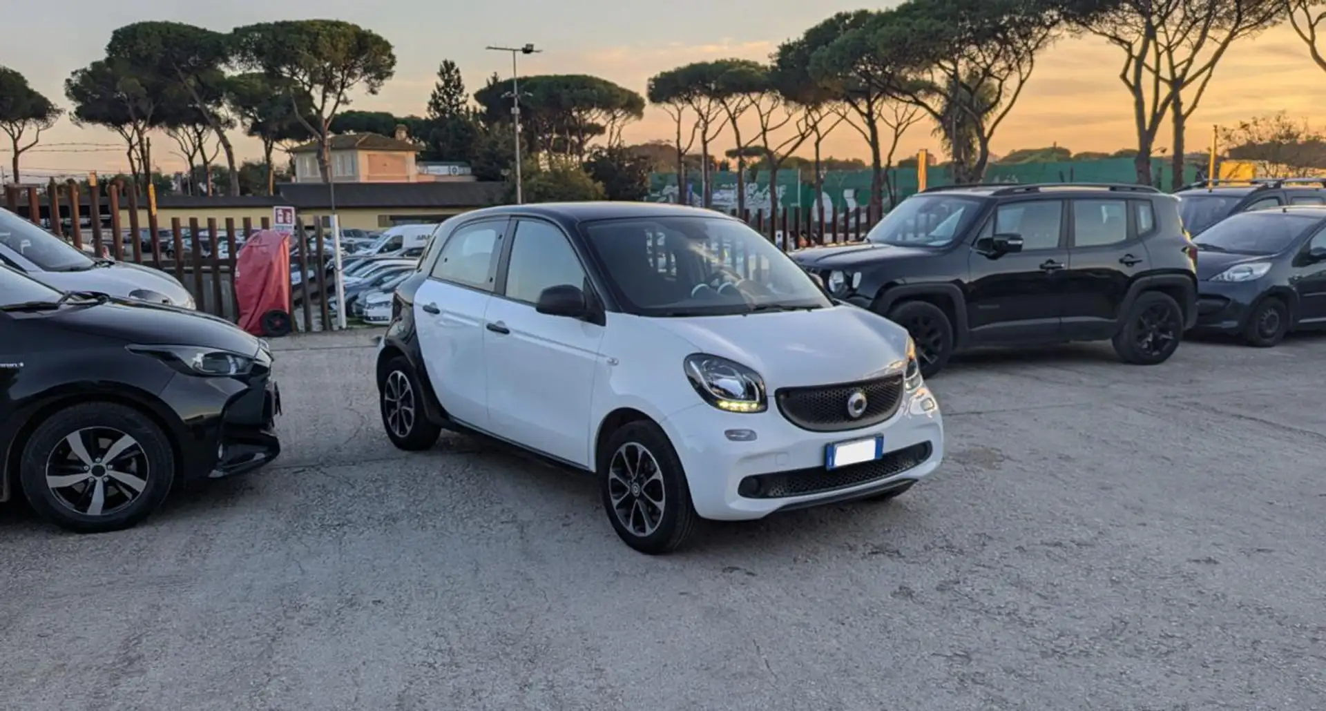 smart forFour 1.0cc 71cv Wit - 1