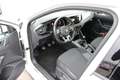 Volkswagen Polo 1.0 TSI Highline Advance Panoramadak / Navigatie / Wit - thumbnail 12