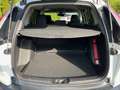 Honda CR-V 1.5T 4WD CVT Elegance AHZG abnehmbar Weiß - thumbnail 9