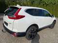 Honda CR-V 1.5T 4WD CVT Elegance AHZG abnehmbar Weiß - thumbnail 5
