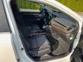 Honda CR-V 1.5T 4WD CVT Elegance AHZG abnehmbar Weiß - thumbnail 13