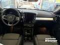 Volvo XC40 B4 B DKG Plus Dark Winter+ Licht uvm. Navi Schwarz - thumbnail 12