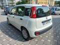 Fiat Panda 1.0 FireFly S&S Hybrid Bianco - thumbnail 3