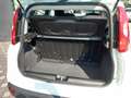 Fiat Panda 1.0 FireFly S&S Hybrid Bianco - thumbnail 7