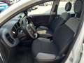 Fiat Panda 1.0 FireFly S&S Hybrid Bianco - thumbnail 4