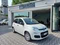 Fiat Panda 1.0 FireFly S&S Hybrid Bianco - thumbnail 1