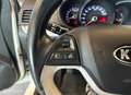 Kia Picanto 1.0 CVVT BusinessLine Navi|LED|APK|Voll Opties ! Weiß - thumbnail 16