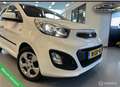 Kia Picanto 1.0 CVVT BusinessLine Navi|LED|APK|Voll Opties ! Weiß - thumbnail 2