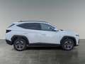 Hyundai TUCSON NX4 Jubile 1,6 T-GDi HEV 2WD AT Weiß - thumbnail 6