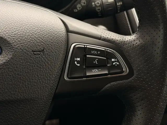 Ford Focus view 19