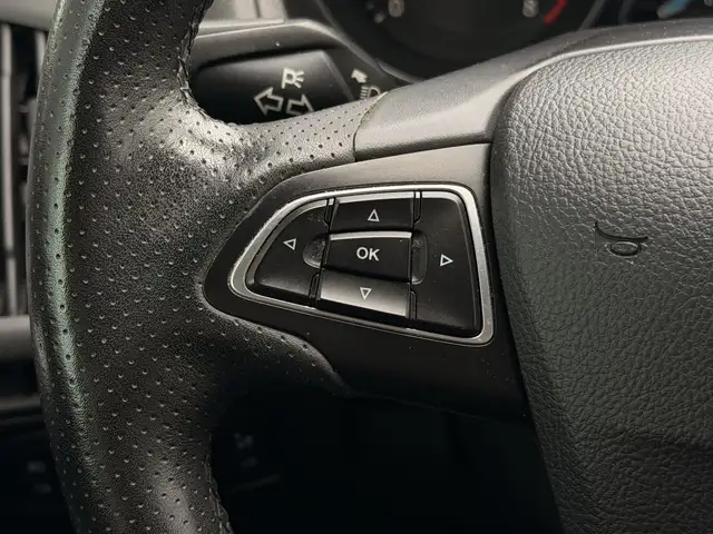 Ford Focus view 18