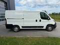 Citroen Jumper 30 L2H1 BlueHDi 130 Weiß - thumbnail 4