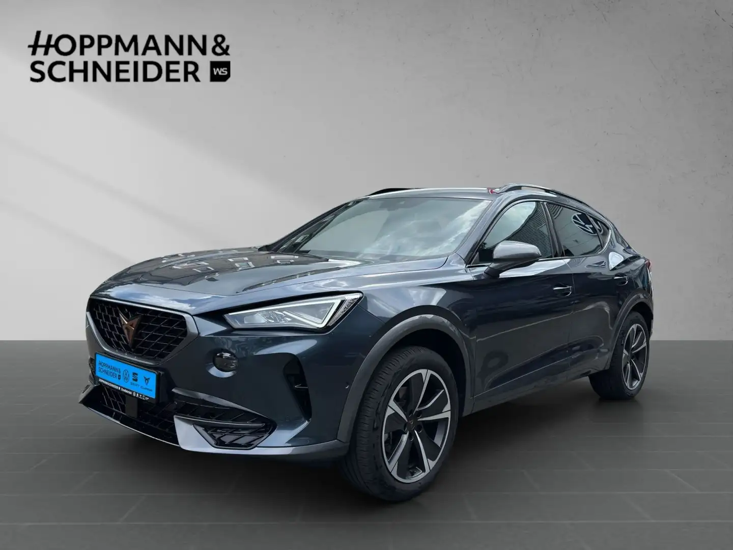 CUPRA Formentor 1.5 TSI-DSG-AHK-NAVI-BEATS-LED Grau - 1