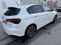 Fiat Tipo 1.6 Multijet Life 95KW Blanco - thumbnail 24