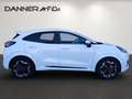 Ford Puma ST-LINE X 125PS EcoBoost Benzin/Hybrid (SPORT-A... Weiß - thumbnail 3