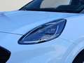 Ford Puma ST-LINE X 125PS EcoBoost Benzin/Hybrid (SPORT-A... Weiß - thumbnail 7