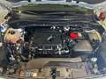 Ford Kuga 1.5 EcoBoost ST-Line X +LED+Navi+HUD+Kam. Argent - thumbnail 14
