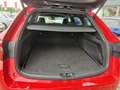 Toyota Corolla Touring Sports 1.8 Hybrid First Edition Rood - thumbnail 9
