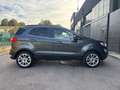 Ford EcoSport 1.0 EcoBoost 125 CV Start&Stop Titanium Grau - thumbnail 4