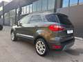 Ford EcoSport 1.0 EcoBoost 125 CV Start&Stop Titanium Grau - thumbnail 6