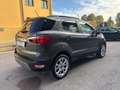Ford EcoSport 1.0 EcoBoost 125 CV Start&Stop Titanium Grau - thumbnail 7