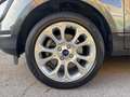 Ford EcoSport 1.0 EcoBoost 125 CV Start&Stop Titanium Grau - thumbnail 22