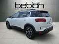 Citroen C5 Aircross 1.5 BlueHDi 130 S&S Shine PDC Pano Weiß - thumbnail 11