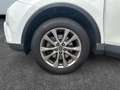 Toyota RAV 4 4x2 Hybrid Team D Blanco - thumbnail 13