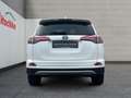 Toyota RAV 4 4x2 Hybrid Team D Blanco - thumbnail 4