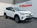 Toyota RAV 4 4x2 Hybrid Team D Blanco - thumbnail 7