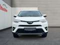 Toyota RAV 4 4x2 Hybrid Team D Blanco - thumbnail 8