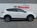 Toyota RAV 4 4x2 Hybrid Team D Blanco - thumbnail 6