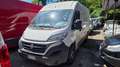 Fiat Ducato Ducato 33 2.3 MJT 140CV PM-TM Furgone iva Bianco - thumbnail 1