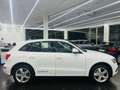Audi Q5 2.0TDI CD quattro Advanced Ed. S-T 190 Weiß - thumbnail 7