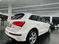 Audi Q5 2.0TDI CD quattro Advanced Ed. S-T 190 Weiß - thumbnail 6