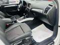 Audi Q5 2.0TDI CD quattro Advanced Ed. S-T 190 Weiß - thumbnail 14