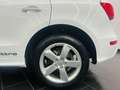 Audi Q5 2.0TDI CD quattro Advanced Ed. S-T 190 Weiß - thumbnail 11