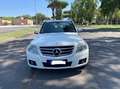 Mercedes-Benz GLK 220 GLK - X204 cdi be Sport my11 Bianco - thumbnail 3