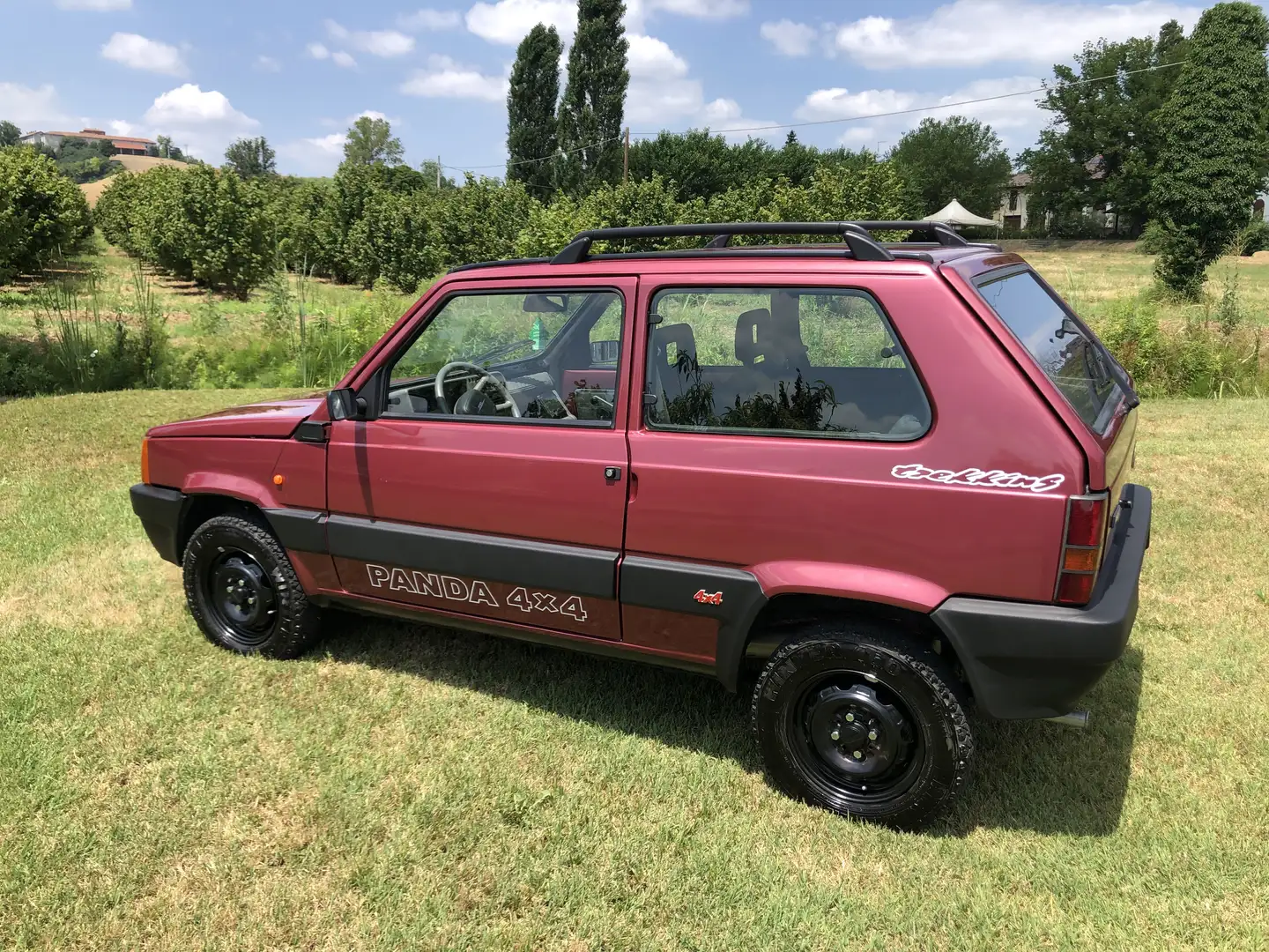 Fiat Panda 1.0 Trekking 4x4 - 1
