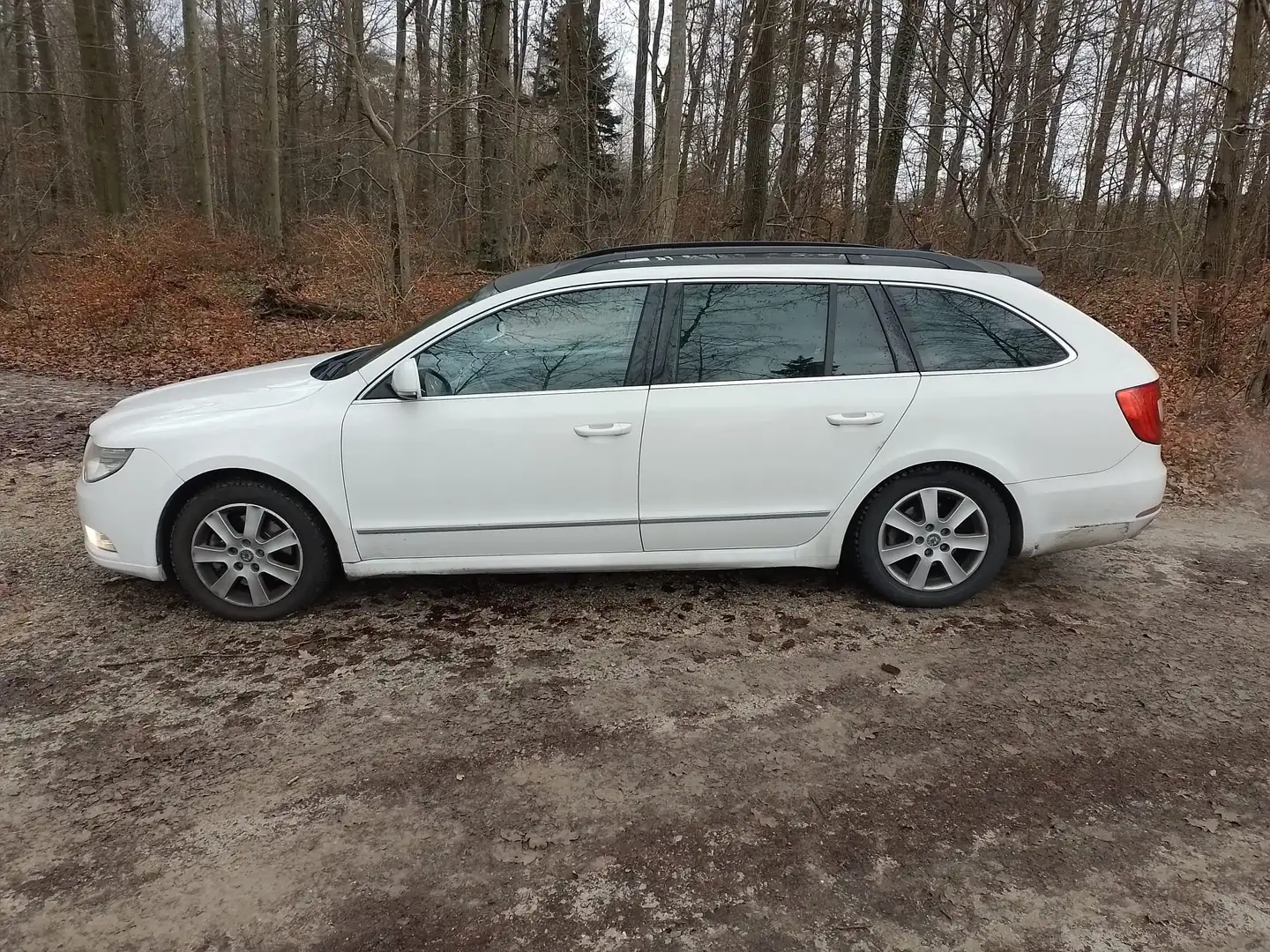 Skoda Superb Combi 2.0 TDI DSG Elegance Weiß - 2