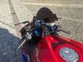 Honda CBR 600 Honda CBR600RR Rosso - thumbnail 7