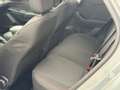 Ford Puma 1.0 EcoBoost Hybrid ST-Line X | 19” LMV | Camera | Gris - thumbnail 27