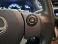 Lexus CT 200h Business Weiß - thumbnail 13