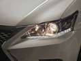 Lexus CT 200h Business Weiß - thumbnail 29