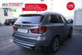 BMW X5 X5 xDrive40d Experience PROMOZIONE Unicoproprieta Gri - thumbnail 14