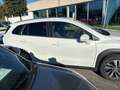 Suzuki S-Cross S-Cross 1.4 Hybrid Top+ Bianco - thumbnail 8