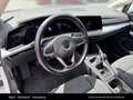 Volkswagen Golf Life 1,5 TSI Weiß - thumbnail 17