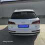 Audi Q5 AUDI Q5 2.0 TDI 190cv Quattro S-Tronic S LINE - thumbnail 5