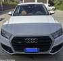 Audi Q5 AUDI Q5 2.0 TDI 190cv Quattro S-Tronic S LINE - thumbnail 1